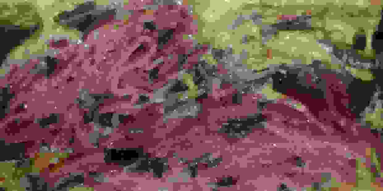 Corned Beef King Corned Beef King